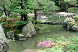 Koi-Japangärten Koi-Fred in Roth bei Nürnberg