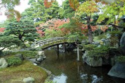 Koi-Japangärten Koi-Fred in Roth bei Nürnberg